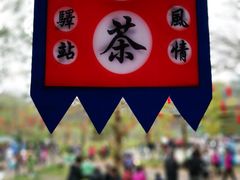 -田野绿世界