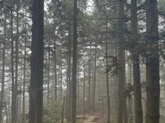 -岣嵝峰国家森林公园