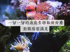 -南昌海洋公园