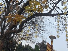 -成都欢乐谷