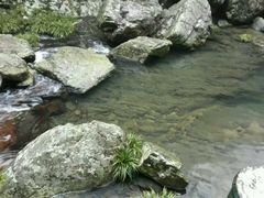 -井冈山革命烈士陵园