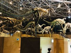 -世界恐龙谷景区