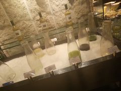 -索菲特酒店·海鲜自助 ·聚餐厅
