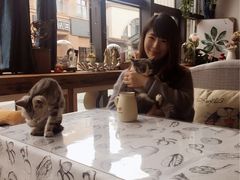 -吉丁鸟咖·异宠·寄养