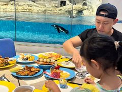 -帝企鹅自助餐厅•儿童岛•真企鹅(长隆企鹅酒店)