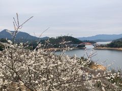 -广州市流溪河国家森林公园