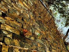 -川沙古镇-停车场