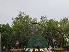 -呀路古热带植物园