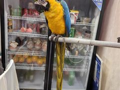 -观桥阁(锦溪店)