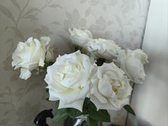 -呷哺呷哺(望京新世界店)