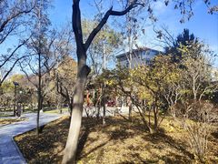 -碑林公园