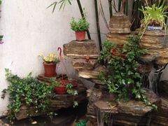 iphone_upload_pic-燕庭·纯燕窝·甜品下午茶(南京西路店)