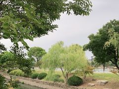 -羊山湖公园