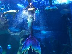 -多彩贵州城极地海洋世界