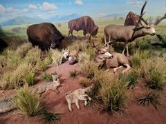 -陕西自然博物馆