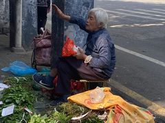 -食盈碗仔翅(星玺广场店)