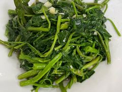 -英子家庭菜馆(系马桩店)