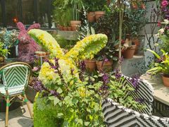 -PlantsEatery·植物食堂(REX春熙店)