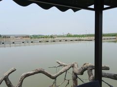 -大炮盐酥鸡(新街口店)