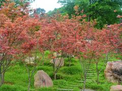 -广州市帽峰山景区