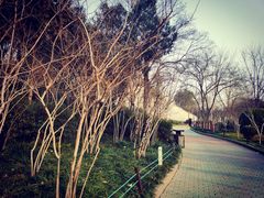 -紫荆山公园