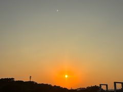 -东莞植物园
