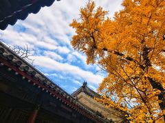 -承恩寺