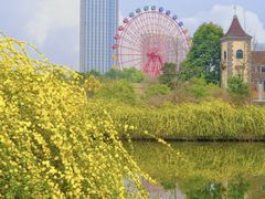 -成都南湖公园