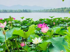 -云幽谷旅游区
