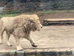 -贵州森林野生动物园