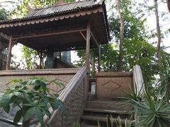 -北京植物园-展览温室