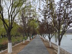 -羊山湖公园