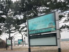 -山东大学(威海校区)