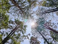 -渌洋湖湿地公园