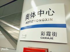 -奥体中心(地铁站)