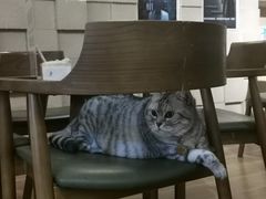 -H立方实景剧情密室(天河旗舰店)