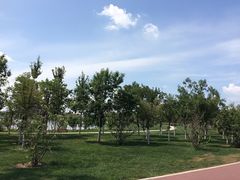 iphone_upload_pic-武清南湖绿博园