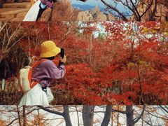 -崂山巨峰游览区