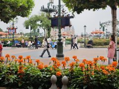 -IL paperino帕帕里诺冰激凌