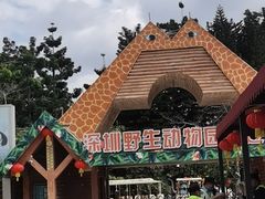 -深圳野生动物园