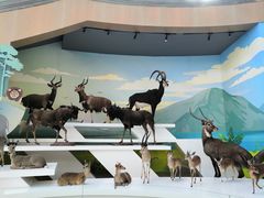 -陕西自然博物馆