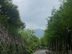 -杭州桐庐康莱德酒店西餐厅-舍