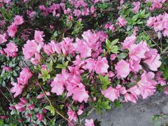 -西南交通大学(峨眉校区)