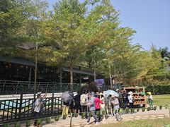 -野象谷景区