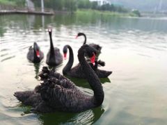 -中国移动南方基地