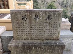 -天目山大树王景区