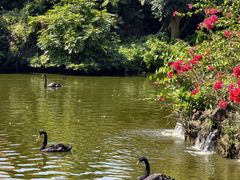 -海南热带野生动植物园