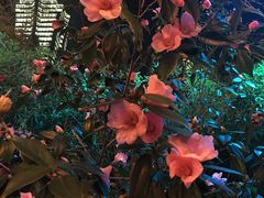 -山水人家(九堡店)