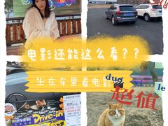 -枫花园汽车电影院(朝阳公园店)