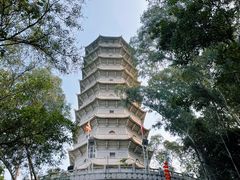 -深圳国际园林花卉博览园